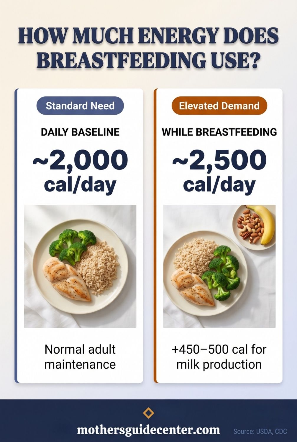 Side-by-side infographic comparing daily calorie needs before and during breastfeeding, showing an extra 450 to 500 calories required for milk production.