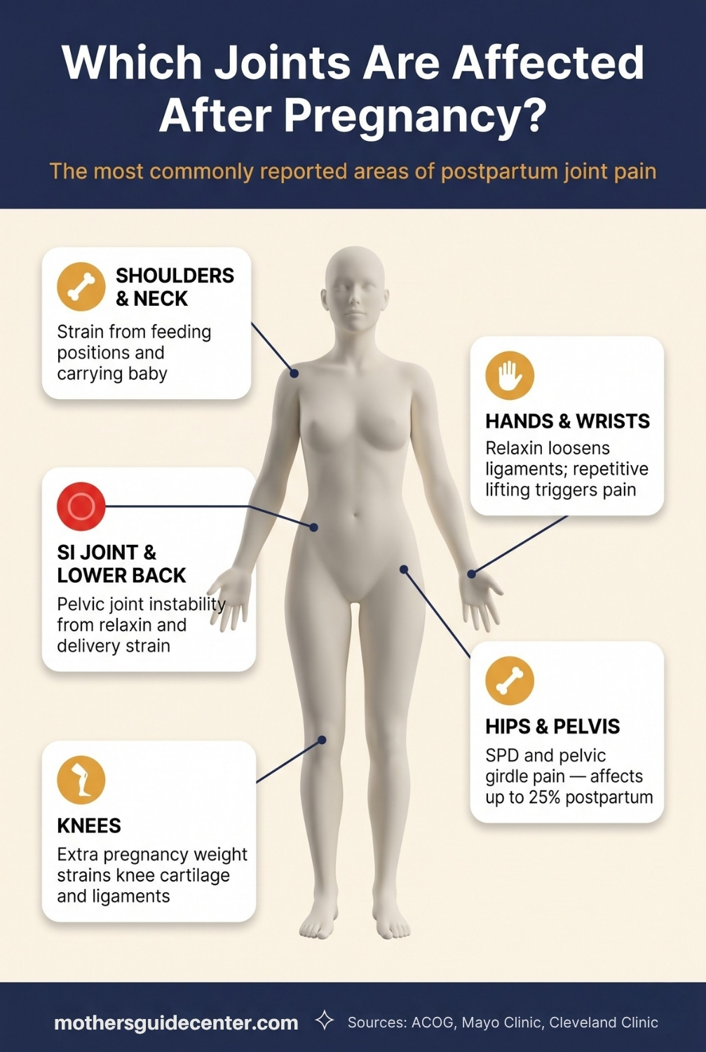 Infographic showing three-phase timeline for how long joint pain typically lasts after pregnancy from weeks 1-6 through 12 months