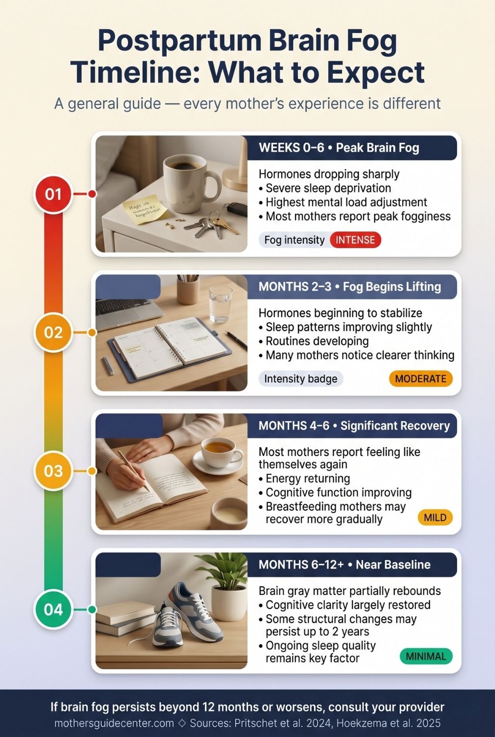 Vertical timeline infographic showing postpartum brain fog recovery phases from peak fog at weeks zero to six through near baseline at six to twelve months