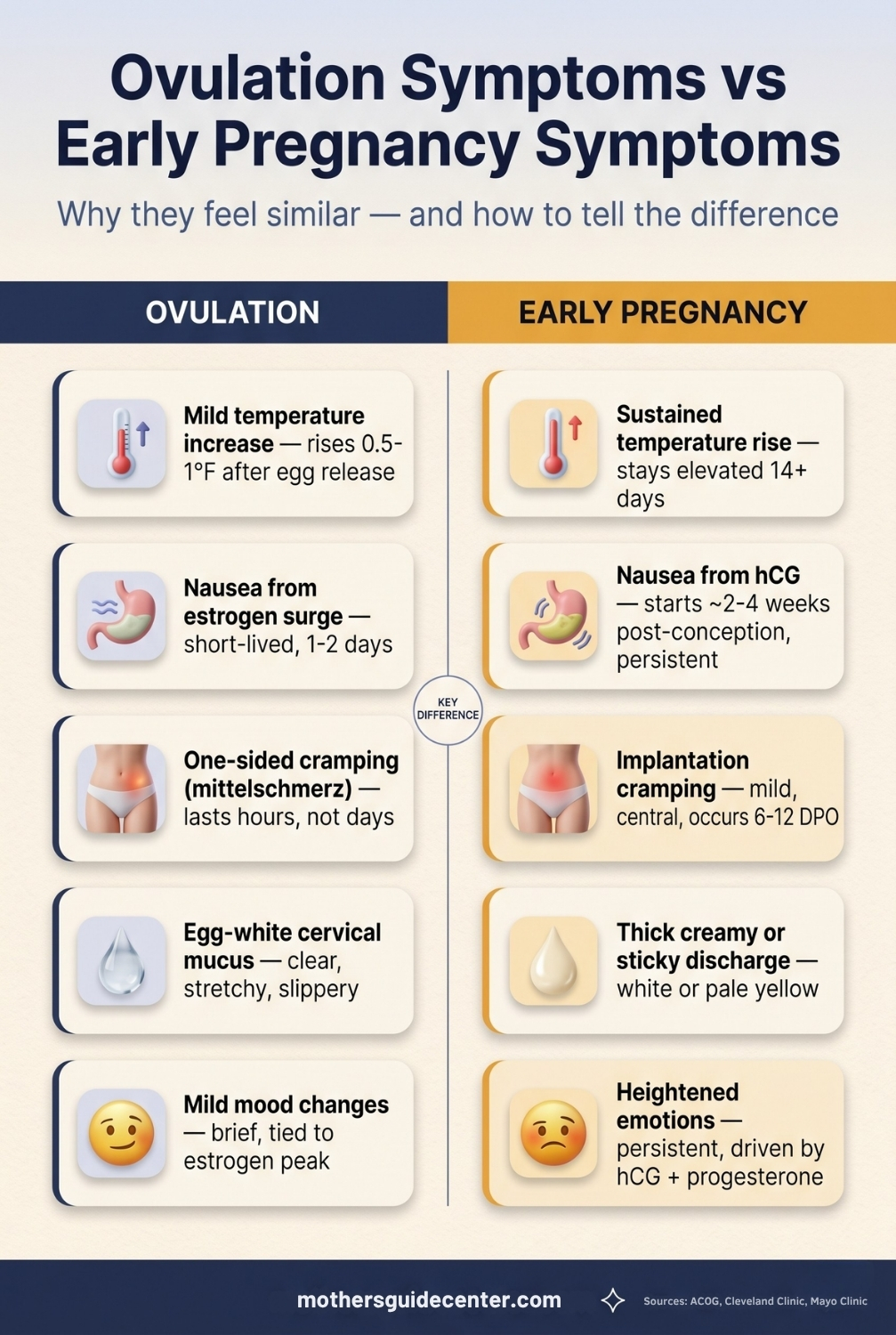 Feeling sick during ovulation am I pregnant — infographic comparing ovulation and early pregnancy symptoms