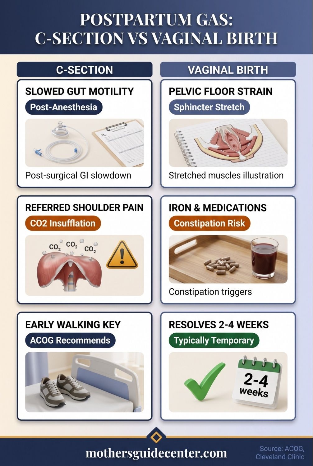 Side-by-side infographic comparing causes of postpartum gas after C-section versus vaginal birth with recovery timelines